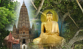 buddha Tour