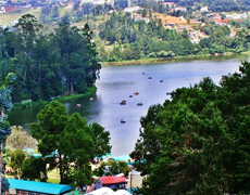 ayurveda Tour